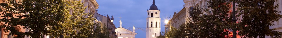 Lernen Sie Litauisch